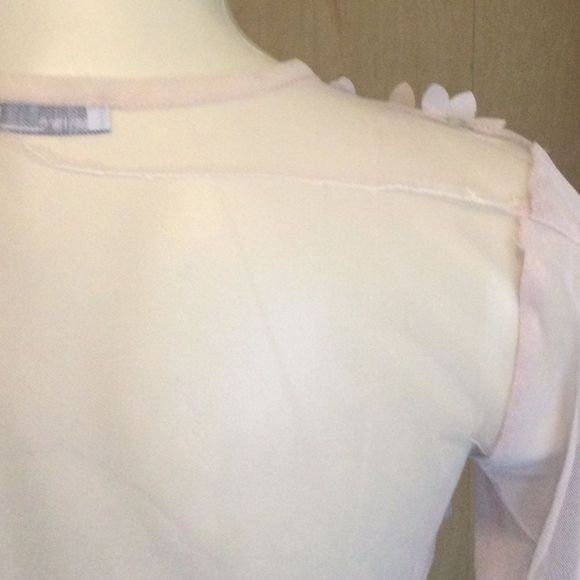 Zara blush sheer tulle mesh floral embroidered top - Picture 12 of 14